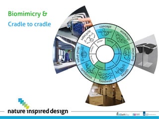 Biomimicry &
Cradle to cradle
 