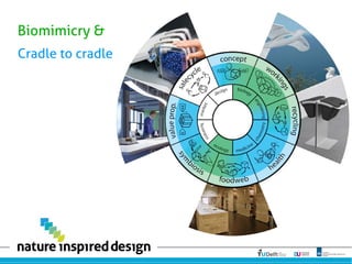 Biomimicry &
Cradle to cradle
 