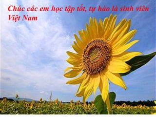 Chúc các em học tập tốt, tự hào là sinh viên
Việt Nam
 