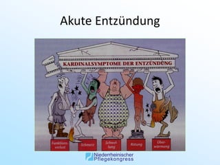 Akute Entzündung
 