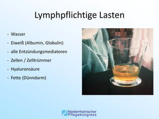 Lymphpflichtige Lasten
- Wasser
- Eiweiß (Albumin, Globulin)
- alle Entzündungsmediatoren
- Zellen / Zelltrümmer
- Hyaluronsäure
- Fette (Dünndarm)
 