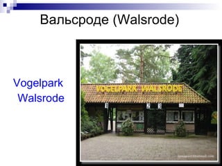 Вальсроде ( Walsrode) Vogelpark  Walsrode 