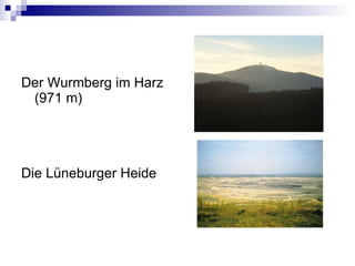 Der Wurmberg im Harz (971 m) Die L üneburger Heide 