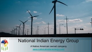 National Indian Energy Group
A Native American owned company
www.nationalindianenergy.com
 