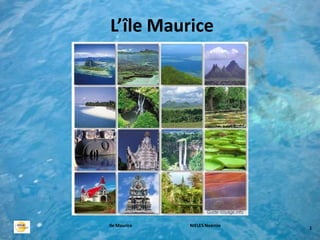 L’île Maurice




Ile Maurice   NIELES Noémie
                              1
 