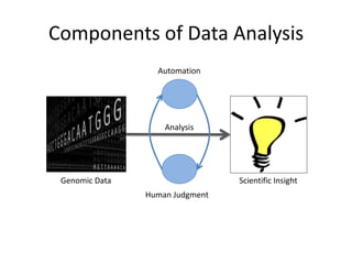 Components of Data AnalysisAutomationAnalysisGenomic DataScientific InsightHuman Judgment