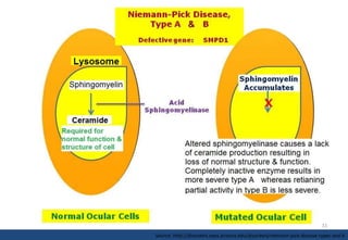 The pathogenesis of Niemann–Pick type C disease: a role for