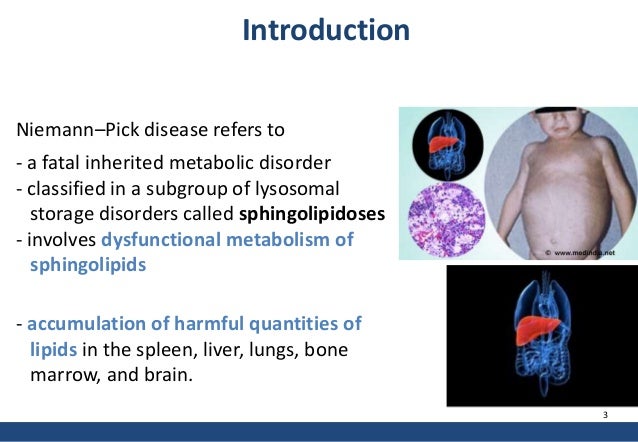 Болезнь нимана пика по утвержденным клиническим рекомендациям. Болезнь нимана пика по утвержденным клиническим рекомендациям. Болезнь нимана пика по утвержденным клиническим рекомендациям. Болезнь ниманна пика методы диагностики. Болезнь ниманна пика тип с.