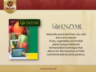 Naturally extracted from 150 cold
and warm season
fruits, vegetables and herbal
plants-using traditional
fermentation technique that
allows for the retention of their
nutritional and enzyme potency.
 