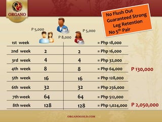 P 8,000
P 5,000 P 5,000
1st week = Php 18,000
P 130,000
P 2,050,000
2nd week = Php 16,0002 2
3rd week = Php 32,0004 4
4th week = Php 64,0008 8
5th week = Php 128,00016 16
6th week = Php 256,00032 32
7th week = Php 512,00064 64
8th week = Php 1,024,000128 128
 