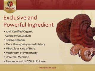 Exclusive and
Powerful Ingredient
• 100% Certified Organic
Ganoderma Lucidum
• Red Mushroom
• More than 4000 years of history
• Miraculous King of Herb
• Mushroom of Immortality
• Universal Medicine
• Also know as LINGZHI in Chinese
 
