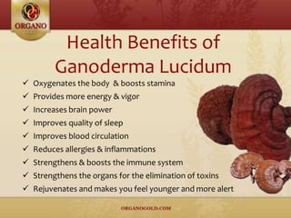 Health Benefits of
Ganoderma Lucidum
 Oxygenates the body & boosts stamina
 Provides more energy & vigor
 Increases brain power
 Improves quality of sleep
 Improves blood circulation
 Reduces allergies & inflammations
 Strengthens & boosts the immune system
 Strengthens the organs for the elimination of toxins
 Rejuvenates and makes you feel younger and more alert
 