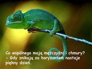 Co wspólnego mają mężczyźni i chmury? - Gdy znikają za horyzontem nastaje piękny dzień.  