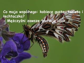 Co maja wspólnego: kobiece gusta, toaleta i łechtaczka? - Mężczyźni zawsze trafiają obok. 