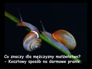 Co znaczy dla mężczyzny małżeństwo? - Kosztowy sposób na darmowe pranie.  