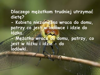 Dlaczego mężatkom trudniej utrzymać dietę? - Kobieta niezamężna wraca do domu, patrzy co jest w lodówce i idzie do łóżka. - Mężatka wraca do domu, patrzy, co jest w łóżku i idzie - do lodówki. 