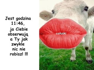 Jest godzina  11:46 ,  ja Ciebie obserwują  a Ty jak zwykle  nic nie robisz! !!! całuski 