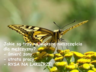 Jakie są trzy największe nieszczęścia dla mężczyzny? - śmierć żony, - utrata pracy, - RYSA NA LAKIERZE! 