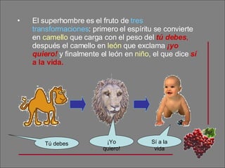 El superhombre es el fruto de  tres transformaciones : primero el espíritu se convierte en  camello  que carga con el peso del  tú debes ,  después el camello en  león  que exclama  ¡yo quiero!  y finalmente el león en  niño , el que dice  sí  a la vida. Tú debes ¡Yo quiero! Sí a la vida 