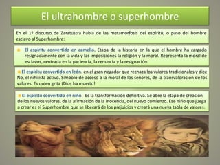 El ultrahombre o superhombre
En el 1º discurso de Zaratustra habla de las metamorfosis del espíritu, o paso del hombre
esclavo al Superhombre:
El espíritu convertido en camello. Etapa de la historia en la que el hombre ha cargado
resignadamente con la vida y las imposiciones la religión y la moral. Representa la moral de
esclavos, centrada en la paciencia, la renuncia y la resignación.
El espíritu convertido en león. en el gran negador que rechaza los valores tradicionales y dice
No, el nihilista activo. Símbolo de acceso a la moral de los señores, de la transvaloración de los
valores. Es quien grita ¡Dios ha muerto!
El espíritu convertido en niño. Es la transformación definitiva. Se abre la etapa de creación
de los nuevos valores, de la afirmación de la inocencia, del nuevo comienzo. Ese niño que juega
a crear es el Superhombre que se liberará de los prejuicios y creará una nueva tabla de valores.
 