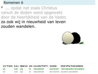 Romeinen 6
4 ... opdat net zoals Christus
vanuit de doden werd opgewekt
door de heerlijkheid van de Vader,
zo ook wij in nieuwheid van leven
zouden wandelen.
 