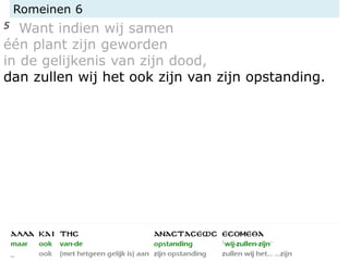 Romeinen 6
5 Want indien wij samen
één plant zijn geworden
in de gelijkenis van zijn dood,
dan zullen wij het ook zijn van zijn opstanding.
 