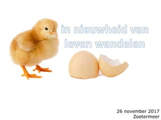 26 november 2017
Zoetermeer
 
