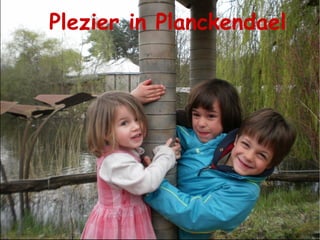 Zingende Papa Hunting Daisies 