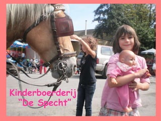 Kinderboerderij  “ De Specht” 