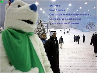 Ski Dubai  tiene 5 lomas Que varian en dificultades y altura  ,  La mas larga de 400 metros y una caida de 60 metros.  