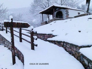OSEJA DE SAJAMBRE