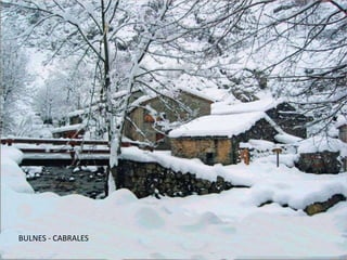 BULNES - CABRALES