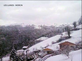 LOS LLANOS - MORCIN