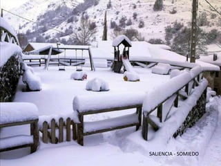 SALIENCIA - SOMIEDO