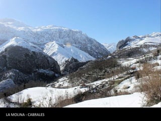 LA MOLINA - CABRALES
