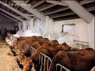 VALLE DE LAGO - SOMIEDO