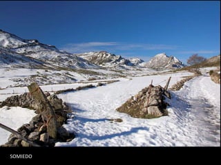 SOMIEDO