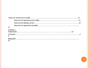 Rotura de meniscos de la rodilla……………………………………………………………………………………………..………21 Rotura de los ligamentos de la rodilla……………………………………………………………………………………21 Rotura de las falanges del pie………………………………………………………………………………………..…… 22 Rotura de los ligamentos del tobillo…………………………………………………………………….…………………22 Cuidados y Tratamientos…………………………………………………………………………………………………………………...23 Conclusión………………………………………………………………………………………………………………………………………..25 Bibliografía…………………………………………………………………………………………………………………………………….…26 