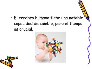 El cerebro humano tiene una notable capacidad de cambio, pero el tiempo es crucial.  