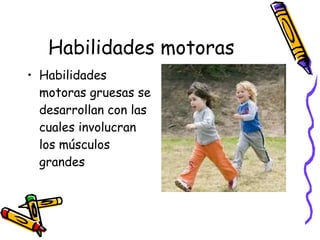 Habilidades motoras  Habilidades motoras gruesas se desarrollan con las cuales involucran los músculos grandes  
