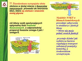 !!!  S tandardowa europejska dieta   złożona w dużej mierze z  tłuszczów nasyconych   prowadzi do tworzenia błon, które  są cieńsze i znacznie mniej płynne   Niedobór NNKT   w błonach komórkowych  powoduje zaburzenia w strukturze i funkcji błony = błona  nie może pełnić swoich funkcji przestaje działać jak wybiórcza bariera regulująca transport substancji pomiędzy komórką, a środowiskiem zewnętrznym. niż błony osób spożywających optymalną ilość  kwasów tłuszczowych,  o odpowiedniej proporcji kwasów omega-3 jak i omega-6. 