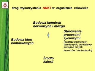 Budowa błon komórkowych Budowa komórek nerwowych i mózgu Sterowanie procesami życiowymi ( synteza hormonów tkankowych, prawidłowy transport innych tłuszczów i cholesterolu )‏ Źródło kalorii drogi wykorzystania  NNKT  w  organizmie  człowieka 