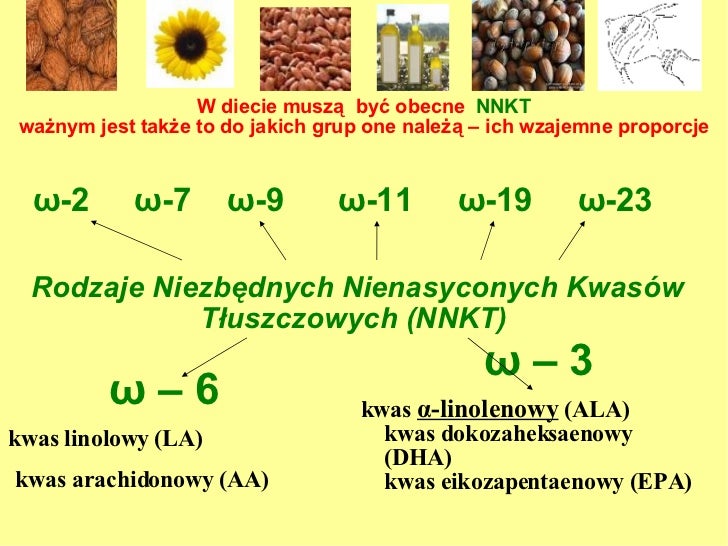 Kwasy Tłuszczowe Nasycone Pomiędzy Atomami Węgla Mają Pojedyncze Wiązania Niezbędne Nienasycone Kwasy Tłuszczowe