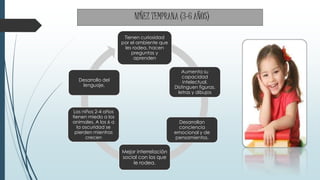 NIÑEZ TEMPRANA (3-6 AÑOS)
Tienen curiosidad
por el ambiente que
les rodea, hacen
preguntas y
aprenden
Aumenta su
capacidad
intelectual.
Distinguen figuras,
letras y dibujos
Desarrollan
conciencia
emocional y de
pensamientos.
Mejor interrelación
social con los que
le rodea.
Los niños 2-4 años
tienen miedo a los
animales. A los 6 a
la oscuridad se
pierden mientras
crecen
Desarrollo del
lenguaje,
 