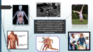 Desarrollan músculos, los huesos se
osifican que dan protección a los órganos.
El sistema respiratorio y circulatorio
mejoran su capacidad brindando una
mayor resistencia física, y el sistema
inmunológico que los protege de las
enfermedades.
 