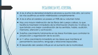 DESARROLLO DEL CEREBRO:
 A los 4 años la densidad sináptica alcanza su punto más alto, así como
las vías auditivas ya están mielinizadas completamente
 A los 6 años el cerebro ya posee un 95% de su volumen total.
 Hay una mayor mielinación de las fibras del cuerpo calloso, lo que
facilita la trasmisión inmediata de la información (hasta los 15 años), lo
que brinda una mejor coordinación de los sentidos, habla, audición,
memoria, atención y activación.
 3-6años crecimiento fulminante en las áreas frontales que controlan la
proyección y organización de la acción.
 6-11 años crecimiento inmediato en las áreas que mantiene el
pensamiento asociativo, lenguaje y relaciones espaciales.
 El desarrollo del cerebro influye en el aumento de la motricidad.
 