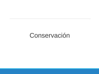 Conservación
 