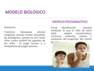 MODELO BIOLÓGICO
Hormonas.
Trastorno: Hiperplasia adrenal
congénita, poseen niveles prenatales
de andrógenos, aunque las cien como
niñas suelen preferir los juguetes de
los niños el juego brusco y a
compañeros de juegos varones.
MODELO PSICOANALÍTICO
Freud, identificación proceso
mediante el cual el niño de corta
edad adopta características,
creencias, actitudes, valores y
conductas del progenitor del mismo
genero.
 