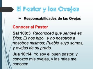 Conocer al Pastor
Sal 100:3 Reconoced que Jehová es
Dios; El nos hizo, y no nosotros a
nosotros mismos; Pueblo suyo somos,
y ovejas de su prado.
Jua 10:14 Yo soy el buen pastor; y
conozco mis ovejas, y las mías me
conocen
 Responsabilidades de las Ovejas
 