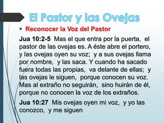  Reconocer la Voz del Pastor
Jua 10:2-5 Mas el que entra por la puerta, el
pastor de las ovejas es. A éste abre el portero,
y las ovejas oyen su voz; y a sus ovejas llama
por nombre, y las saca. Y cuando ha sacado
fuera todas las propias, va delante de ellas; y
las ovejas le siguen, porque conocen su voz.
Mas al extraño no seguirán, sino huirán de él,
porque no conocen la voz de los extraños.
Jua 10:27 Mis ovejas oyen mi voz, y yo las
conozco, y me siguen
 